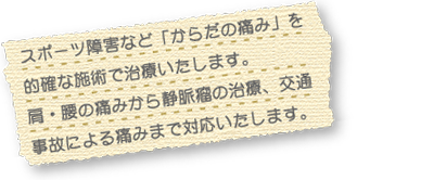 スポーツ障害など「からだの痛み」を的確な施術で治療いたします。肩・腰の痛みから静脈瘤の治療、交通事故による痛みまで対応いたします。